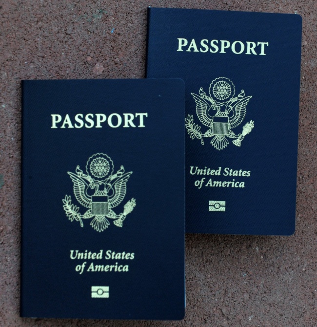 Гадаад пасспортын өнгө юуг илэрхийлдэг вэ?