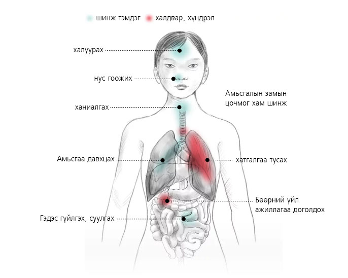 CoVid19 вирусийн тухай түгээмэл арван асуулт