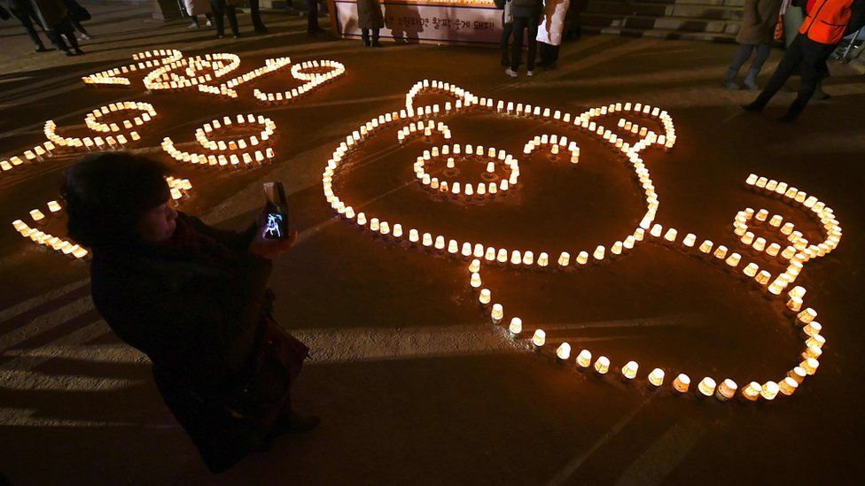 ФОТО: Дэлхийн улс орнууд шинэ жилийн баярыг хэрхэн угтав